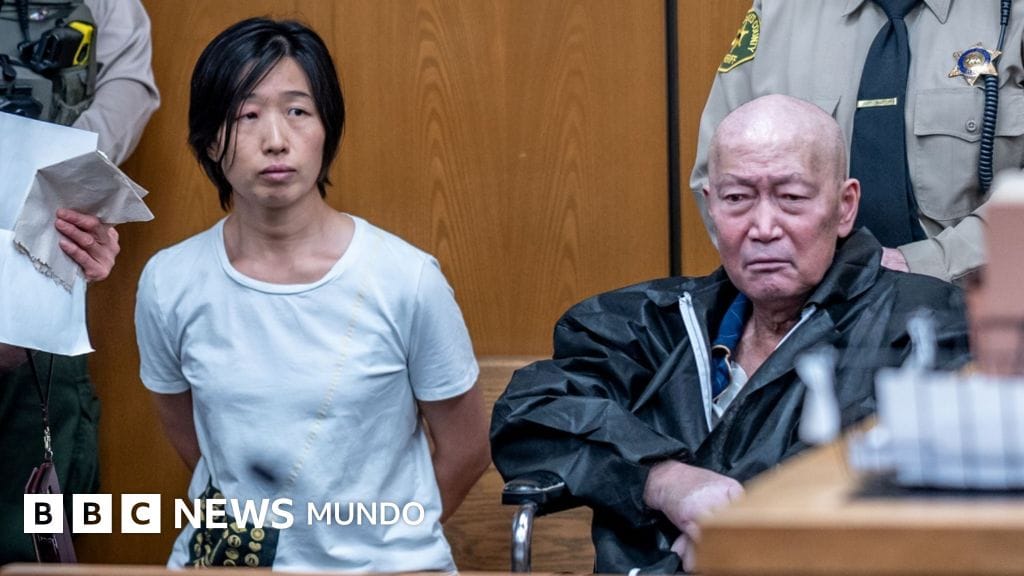 Acusan en California a una pareja por abuso de 14 niños por subrogación