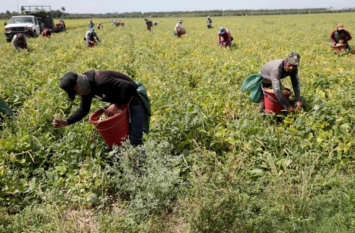 Trump pierde apoyo entre hispanos mientras crece el miedo a ICE