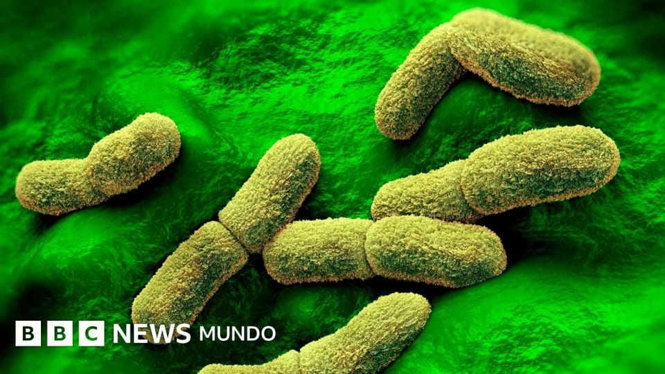 EE.UU. sigue de cerca un caso de peste en Siberia