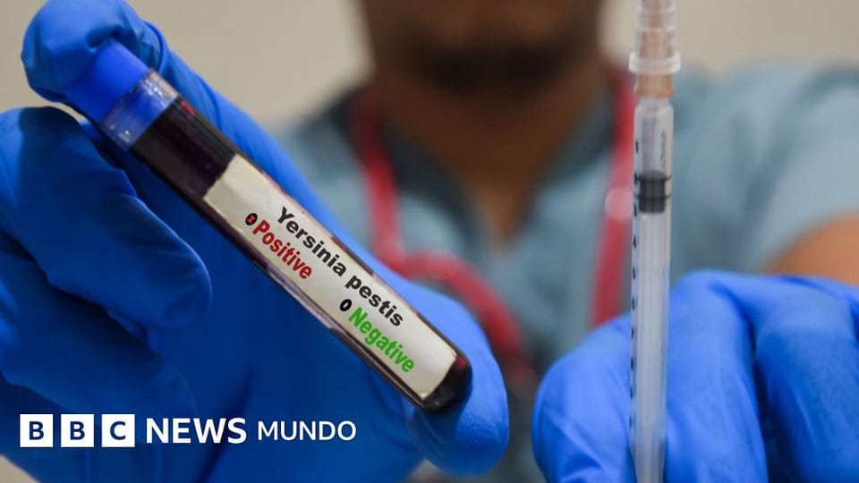 Qué se sabe de la peste neumónica tras una muerte en Siberia