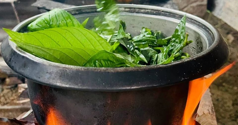 Una abuela cocina una planta en Pinar del Río ante la escasez