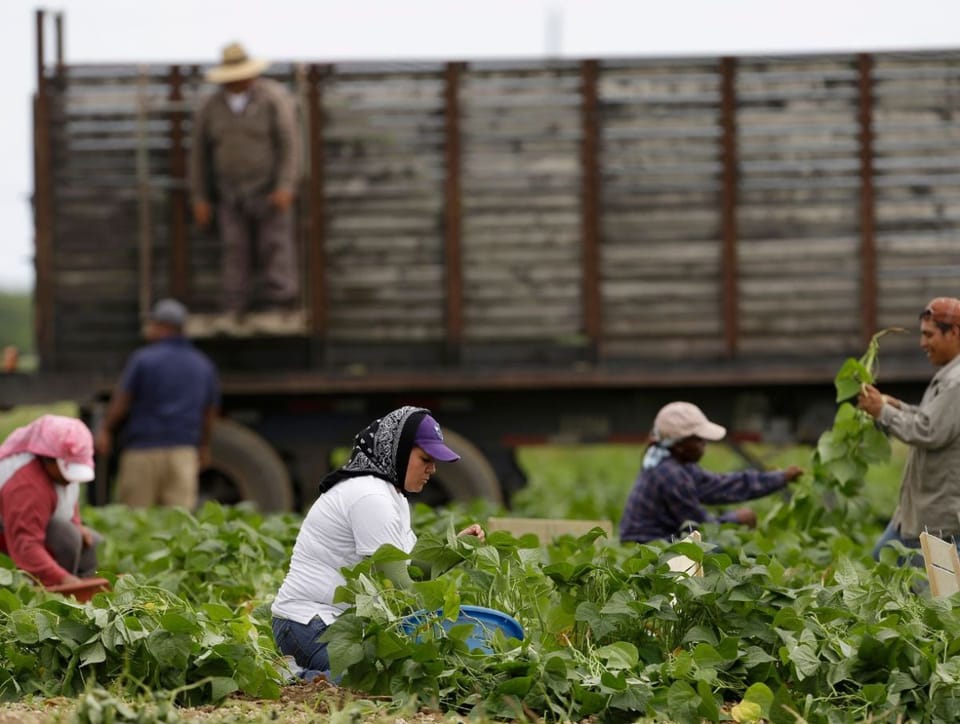 Las zonas rurales de EE.UU. necesitan inmigrantes, pero temen la ofensiva migratoria